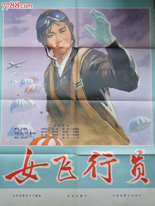 特拉华州驾驶证作假